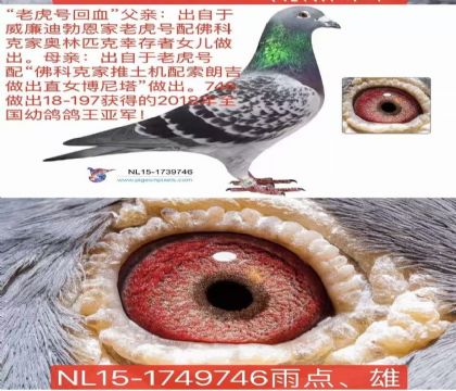 �游�����ϲ����ϻ���Ѫ