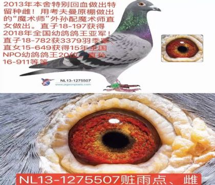 ��ĸ������ħ��ʦ��Ѫ