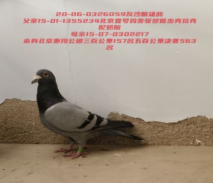 ����Ҽ���ű��������������������563