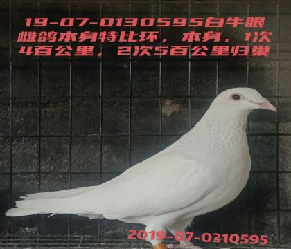 �ף�1��400����鳲2��500����鳲