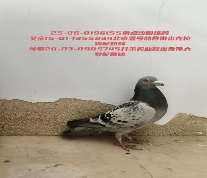 ����Ҽ���ű�������������俪��³��