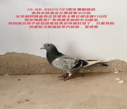 �������312����ڻ����˽�������