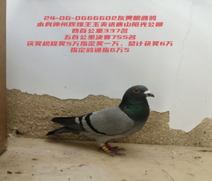 ���ݻԻ�����ˬ��ɽ���⹫�����755��