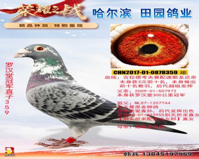 �޺��ùھ�ֱ��