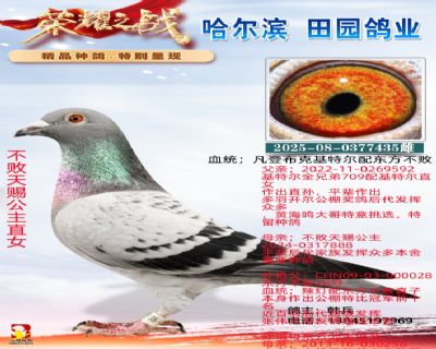 ������͹���ֱŮ