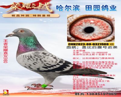 ������ҫֱŮ980