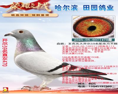 ����59��ֱŮ470