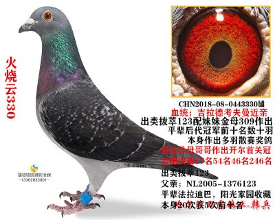 ��԰������330