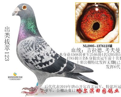 ���׿�����123