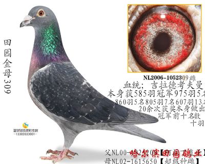 ĸ�ף���ĸ309