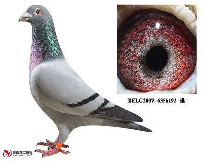 �游����¬��