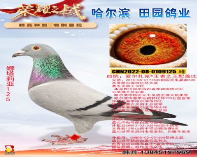 ��������125