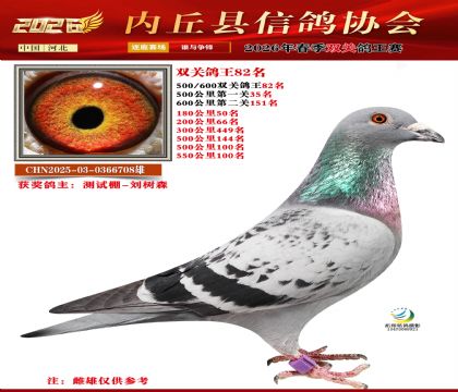 500-600˫�ظ���82��