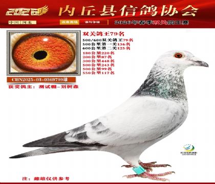 500-600˫�ظ���79��