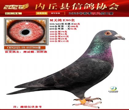 500-600˫�ظ���80��