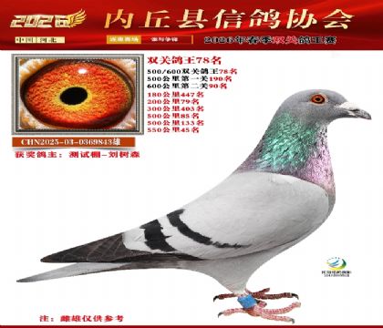 500-600˫�ظ���78��