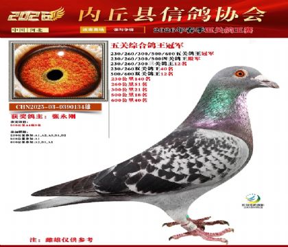 ��ظ����ھ�