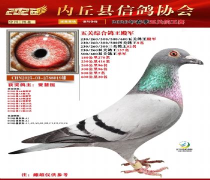 ��ظ������