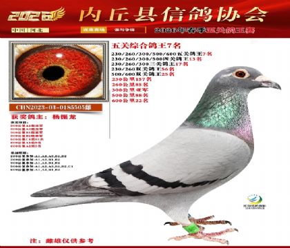 ��ظ���7��