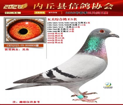 ��ظ���5��