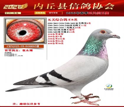 ��ظ���8��