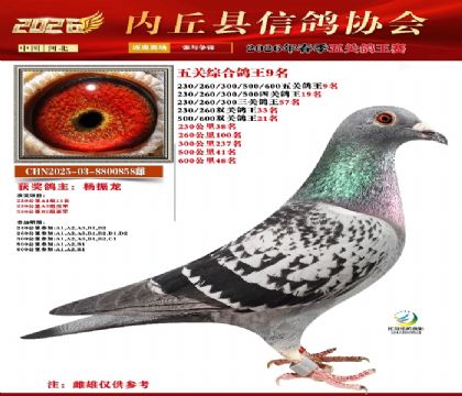 ��ظ���9��