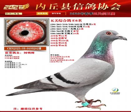 ��ظ���6��