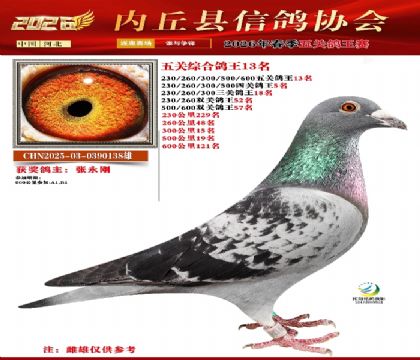 ��ظ���13��