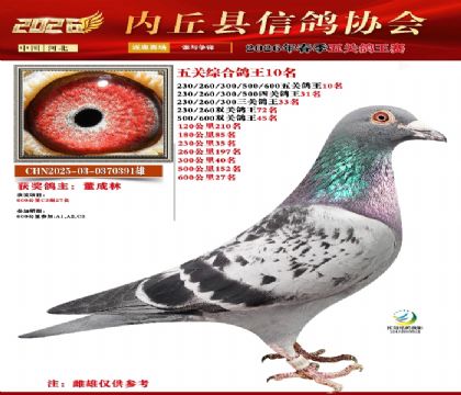 ��ظ���10��