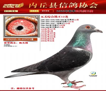 ��ظ���12��