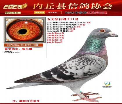 ��ظ���11��