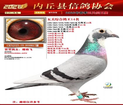 ��ظ���14��