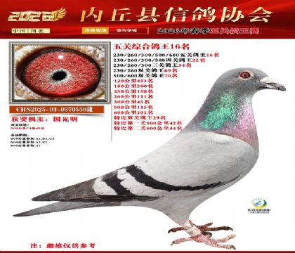 ��ظ���16��