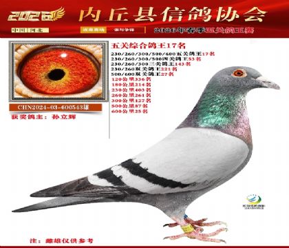 ��ظ���17��