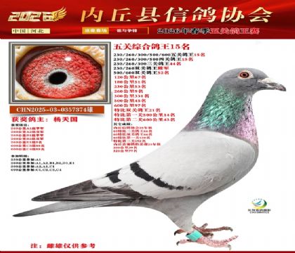 ��ظ���15��