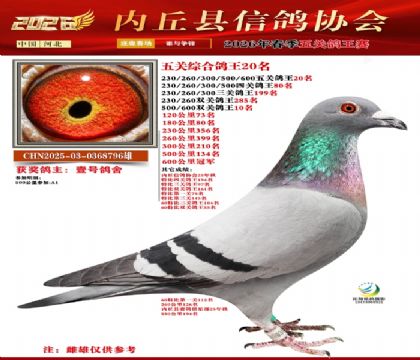 ��ظ���20��