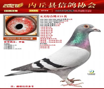 ��ظ���21��