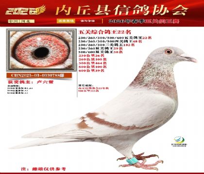 ��ظ���22��