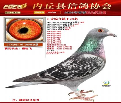 ��ظ���23��