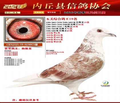 ��ظ���19��