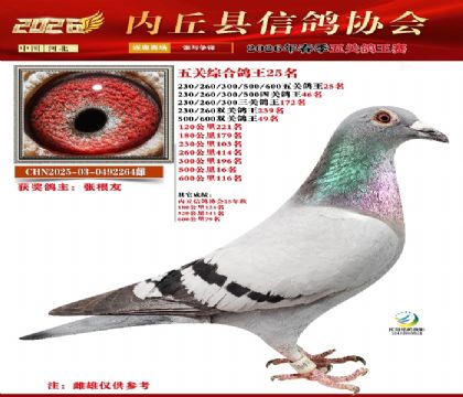 ��ظ���25��