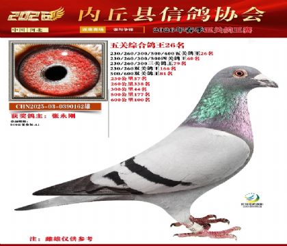 ��ظ���26��