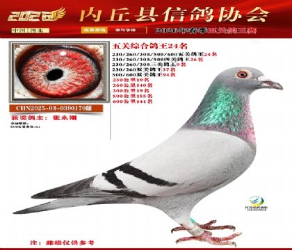 ��ظ���24��