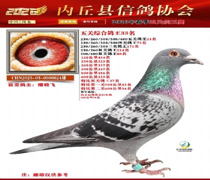 ��ظ���33��