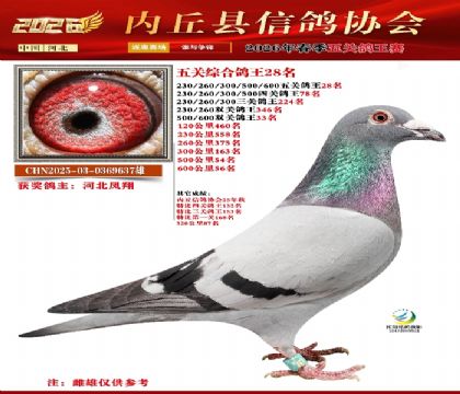 ��ظ���28��