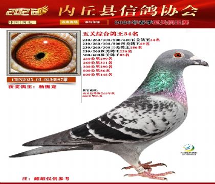 ��ظ���34��