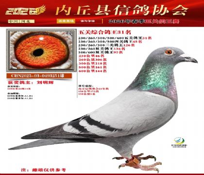 ��ظ���31��