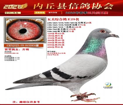 ��ظ���29��