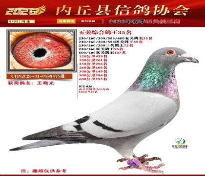 ��ظ���35��