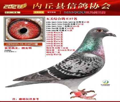 ��ظ���37��